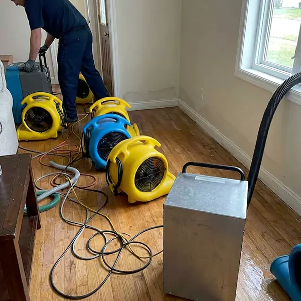 Water Mitigation Services in Margate, FL