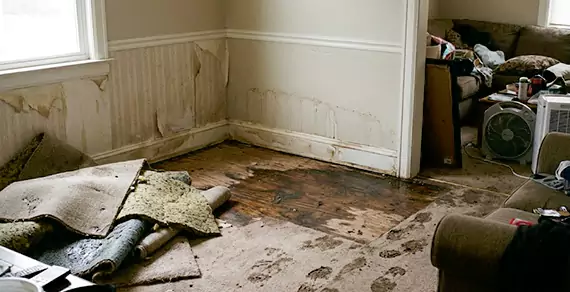 Why Choose Margate Water Damage Restoration For Water Damage Restoration Services in Margate, FL?
