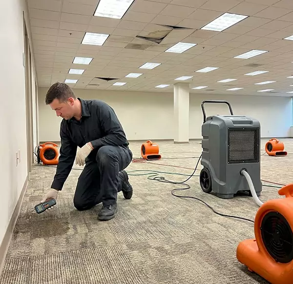 Why Businesses Choose Margate Water Damage Restoration for Commercial Water Damage in Margate, FL?